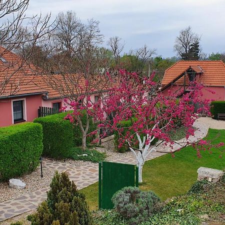 Penzion Na Lednicke Apartman Hlohovec Kültér fotó